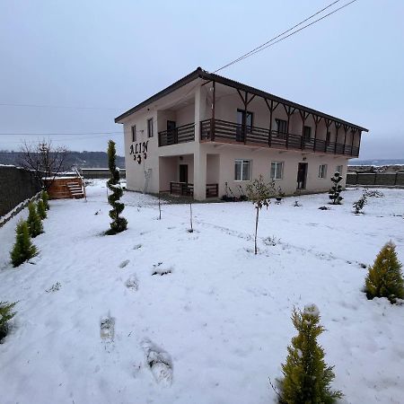 Отель Pensiunea Alin Sisesti  Экстерьер фото