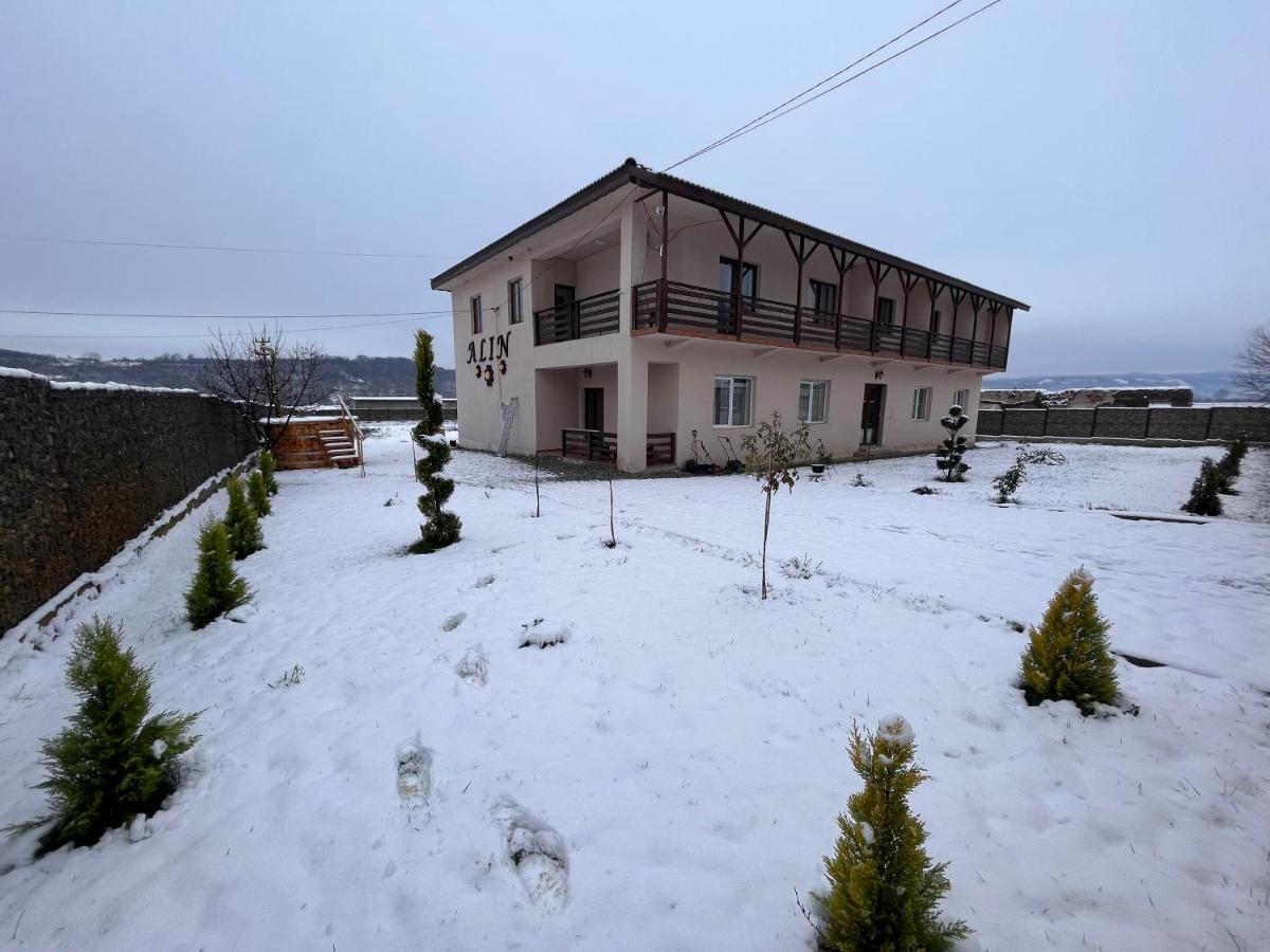 Отель Pensiunea Alin Sisesti  Экстерьер фото